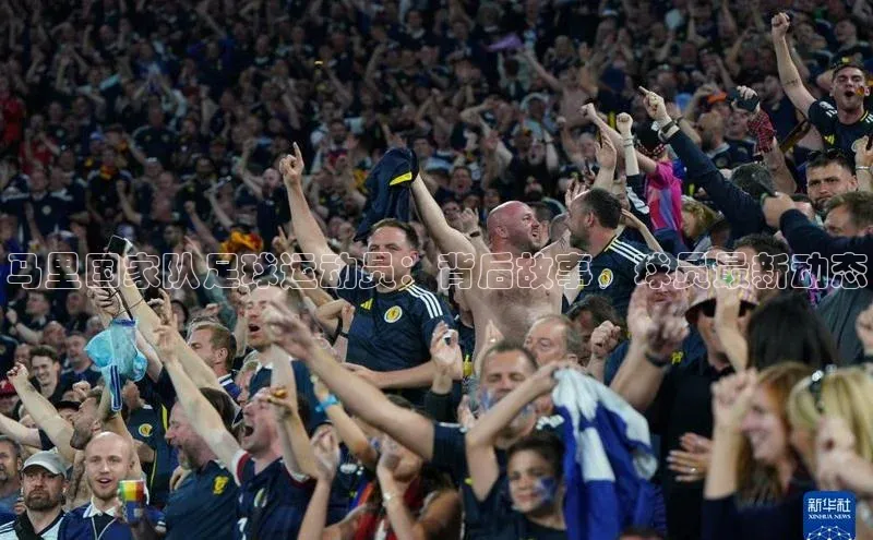 BB贝博ballbet登录入口百度翻译App马里国家队足球运动员：背后故事，球员最新动态