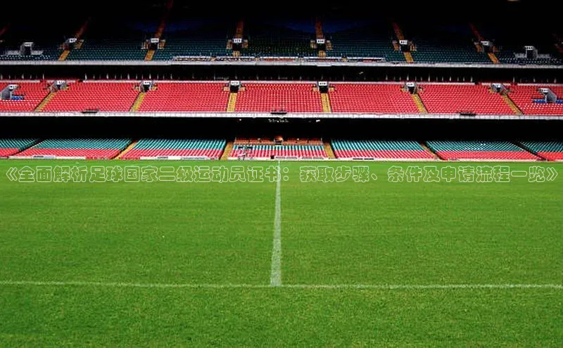 贝博bb平台体育网页版如流《全面解析足球国家二级运动员证书：获取步骤、条件及申请流程一览》