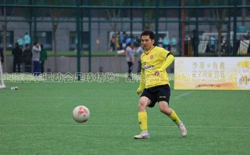 贝博APP体育网页字节跳动上海春季运动会足球场地：比赛规格、场馆设施全解析