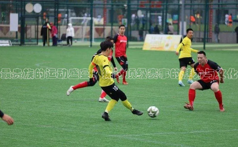 贝博betball体育app下载阿里尔公司最贵族的运动盛宴：探讨顶级赛事的魅力与文化