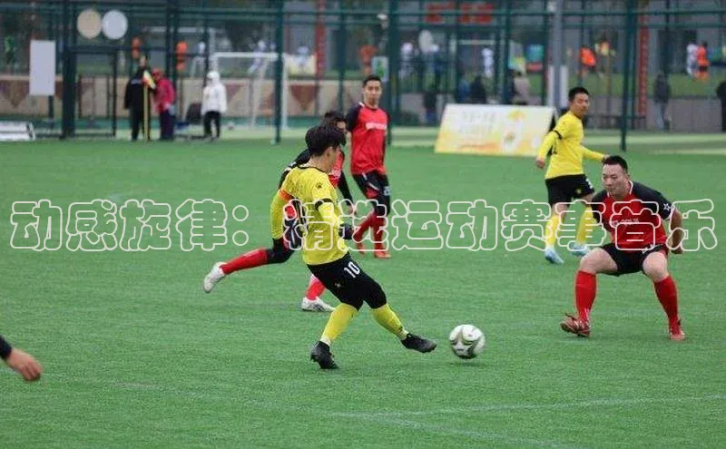 贝博平台网站谁知道每日互动动感旋律：精选运动赛事音乐