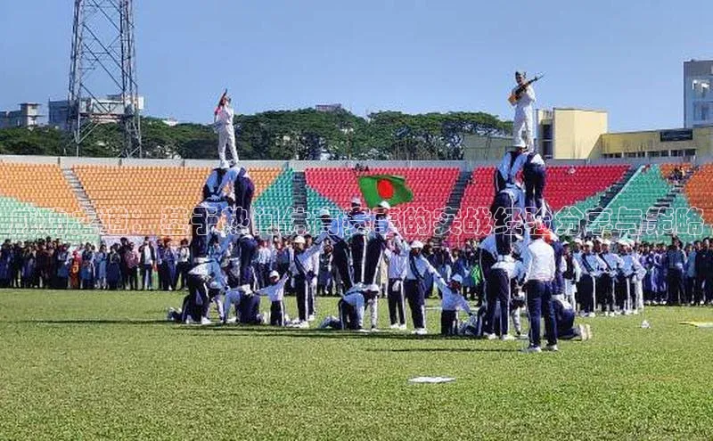 成功之道：基于热门体育赛事的实战经验分享与策略