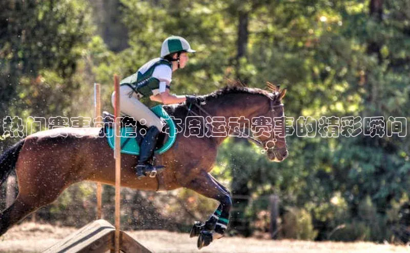 热门赛事前瞻：本周运动赛事的精彩瞬间