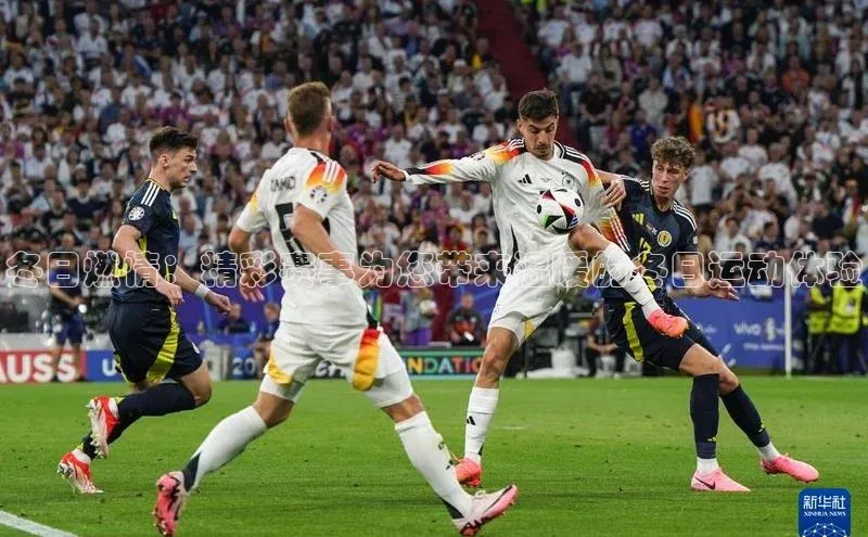 冬日燃情：精彩赛事为您带来温暖的冬日运动体验