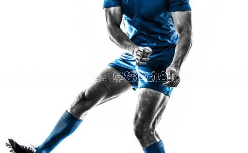 活力四射的校园盛会：学校运动会项目深度与展望