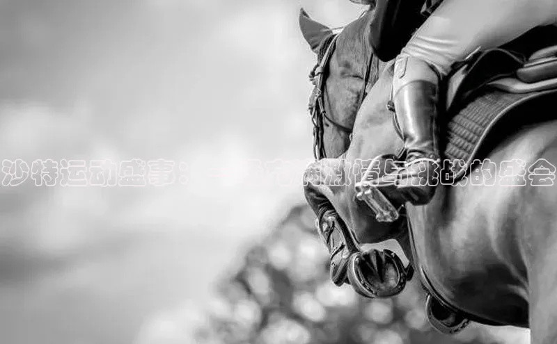 沙特运动盛事：一场充满激情与挑战的盛会