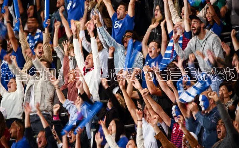 字里行间：运动与赛事的语言差异探讨