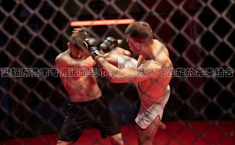 樊振东赛事专用运动毛巾：卓越品质与性能的完美结合