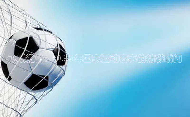 飞跃激情：2023年国家运动赛事的精彩瞬间