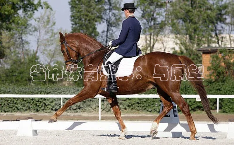 省市体育盛事：与展望