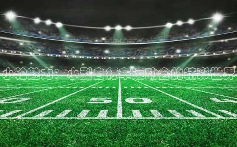 小轮魅力：小型自行车运动会的精彩世界