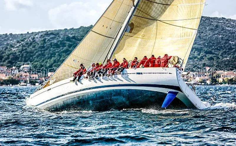 杭州运动盛事：城市活力与健康生活的新篇章