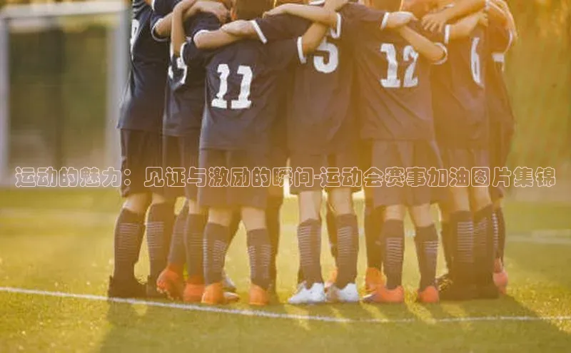 运动的魅力：见证与激励的瞬间-运动会赛事加油图片集锦