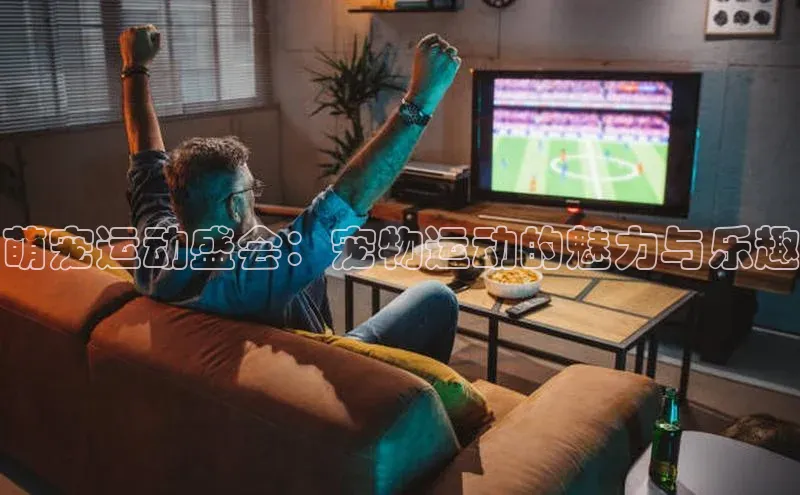 萌宠运动盛会：宠物运动的魅力与乐趣