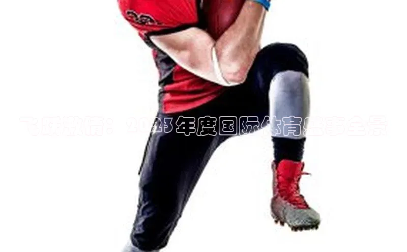 贝博betball体育app下载