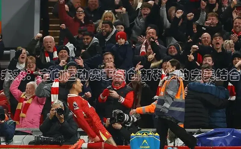 贝博betball体育app下载