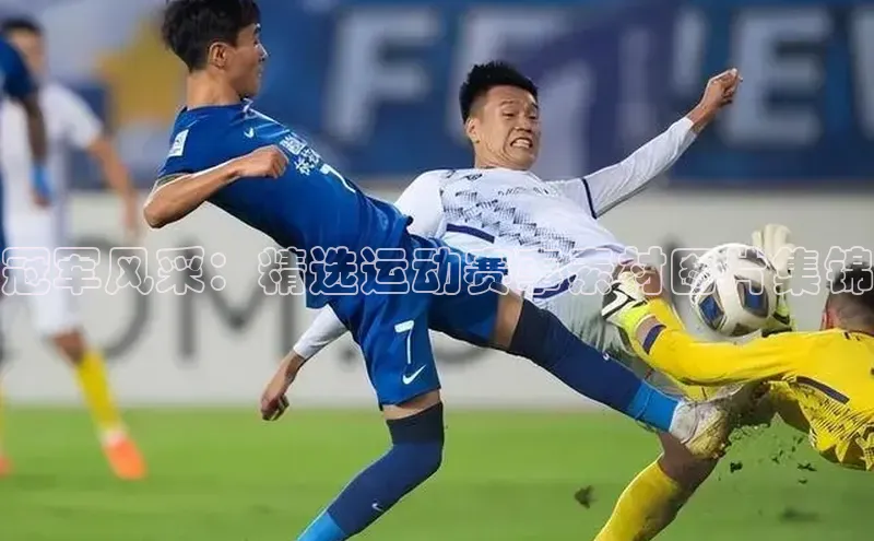 贝博betball官网登录