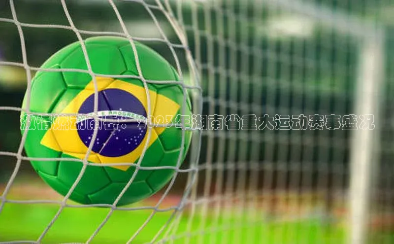 贝博bb平台体育网页版