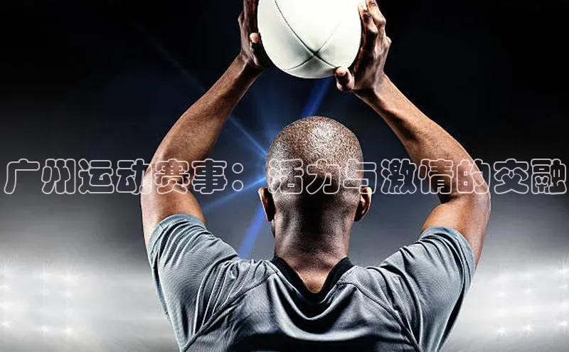 贝博平台客户端app