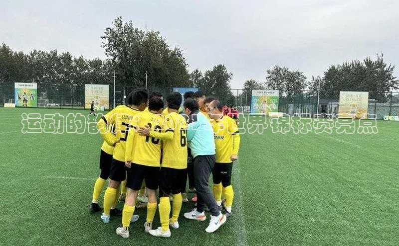 贝博bb平台体育网页版