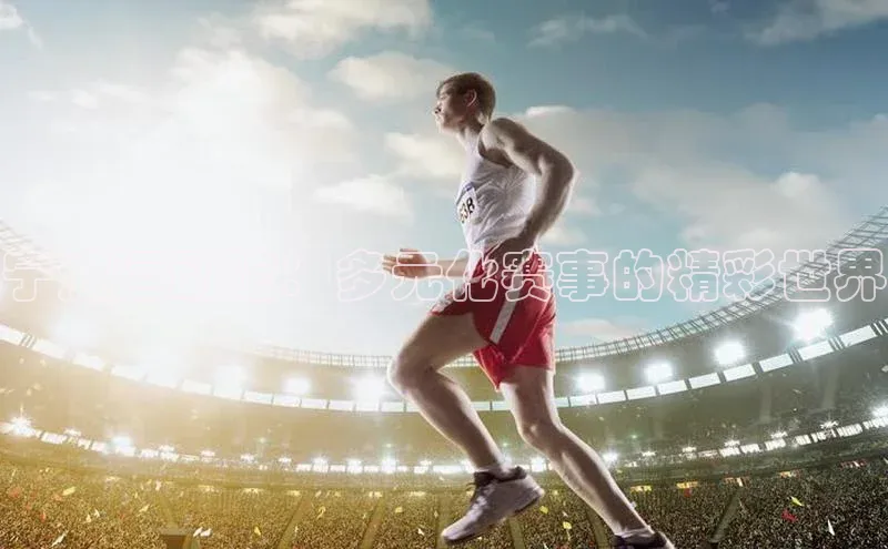 宁波运动馆：多元化赛事的精彩世界