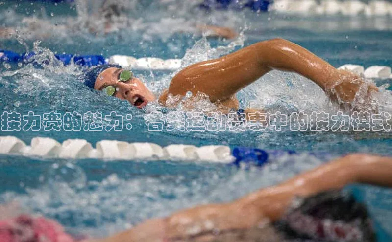 贝博官网下载app